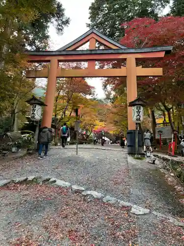 日吉大社の鳥居