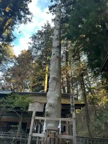 諏訪大社下社春宮(長野県)