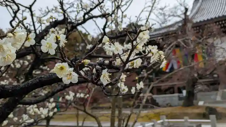 智積院(京都府)
