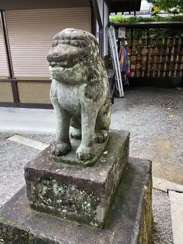 飛騨天満宮の狛犬