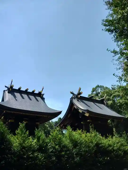 鷲宮神社(埼玉県)