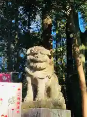 間々田八幡宮(栃木県)