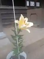 伏木香取神社(茨城県)