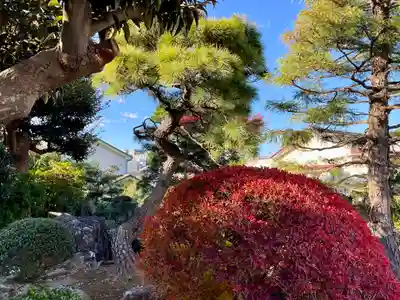 赤城神社(千葉県)