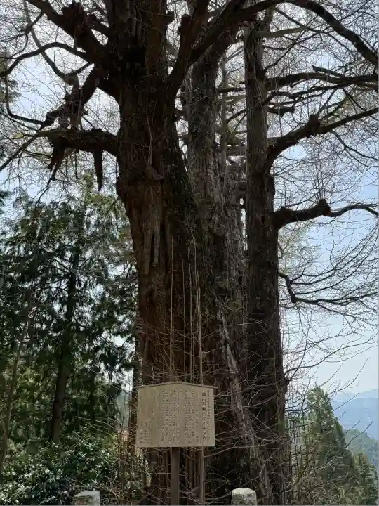 高山不動尊常楽院(埼玉県)