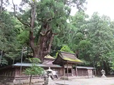 若狭姫神社（若狭彦神社下社）(福井県)