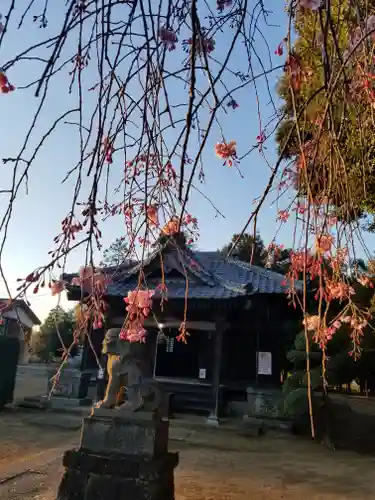 伏木香取神社の本殿