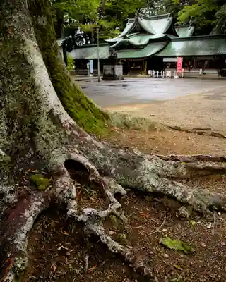 一言主神社(茨城県)