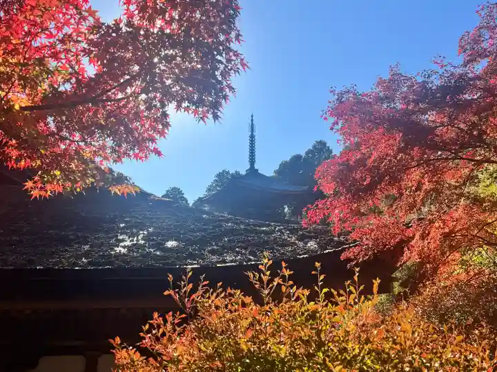 常樂寺(滋賀県)