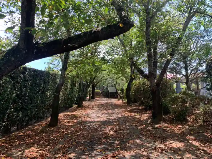 東漸寺(千葉県)