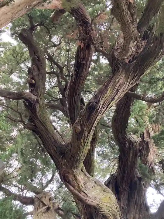 城願寺(神奈川県)