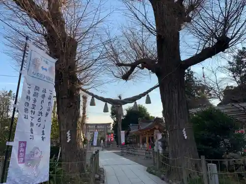 亀ケ池八幡宮のその他建物