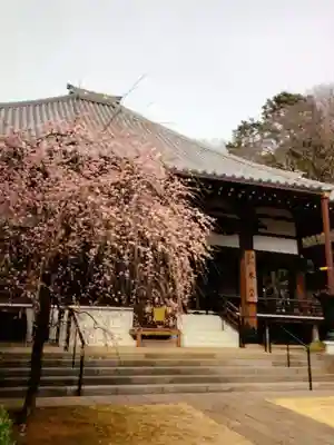 妙法寺(東京都)