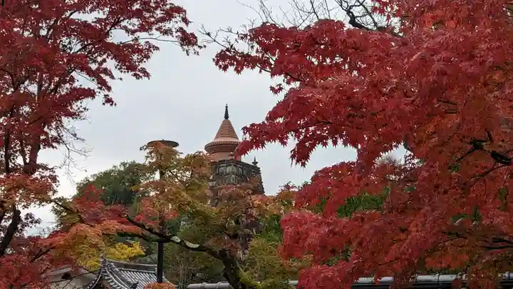 妙満寺(京都府)