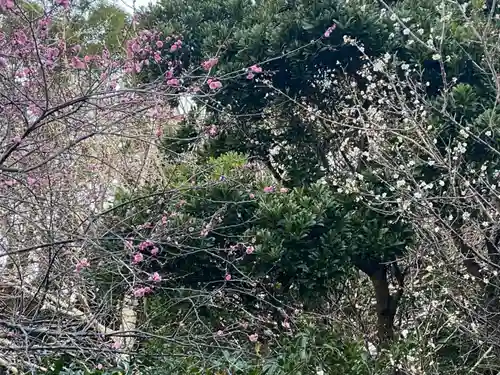 崋山神社(愛知県)