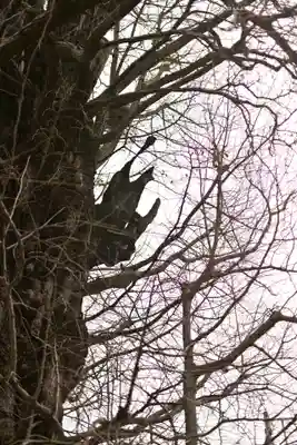 飛木稲荷神社(東京都)