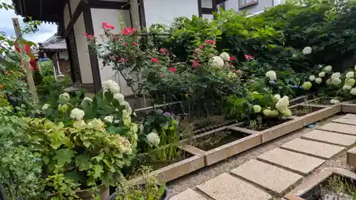 おふさ観音（観音寺）(奈良県)