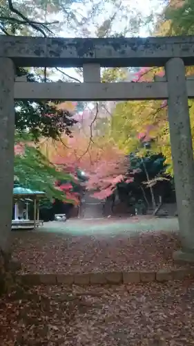 諏訪神社(鳥取県)