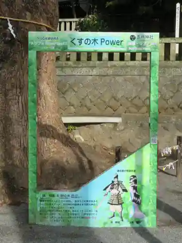 五所神社のその他建物