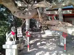 豊藤稲荷神社(愛知県)