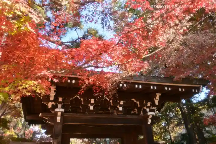 東漸寺(千葉県)