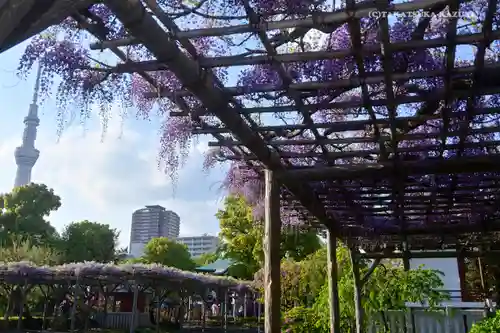 亀戸天神社の庭園