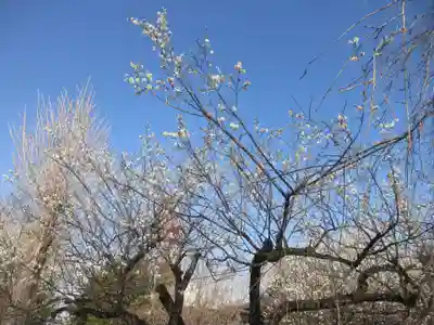 國分寺(茨城県)