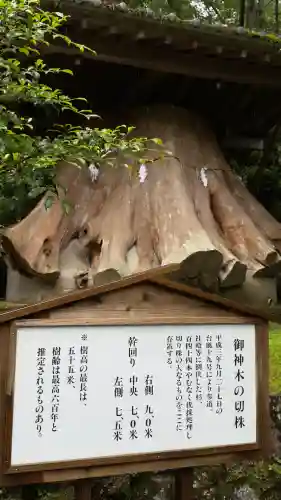 宇奈岐日女神社(大分県)