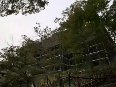 清水寺の本殿・本堂