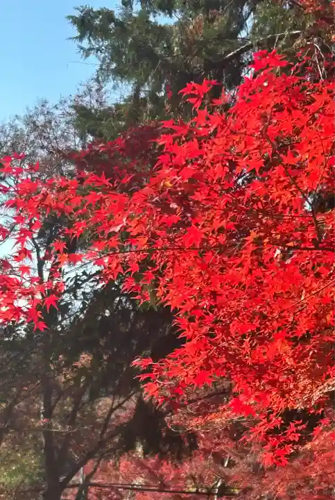 毘沙門堂門跡(京都府)
