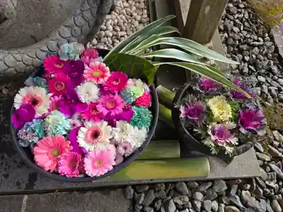 須山浅間神社(静岡県)