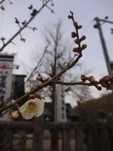 賀羅加波神社の庭園