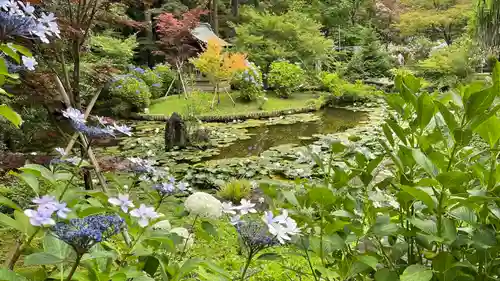 本土寺の庭園