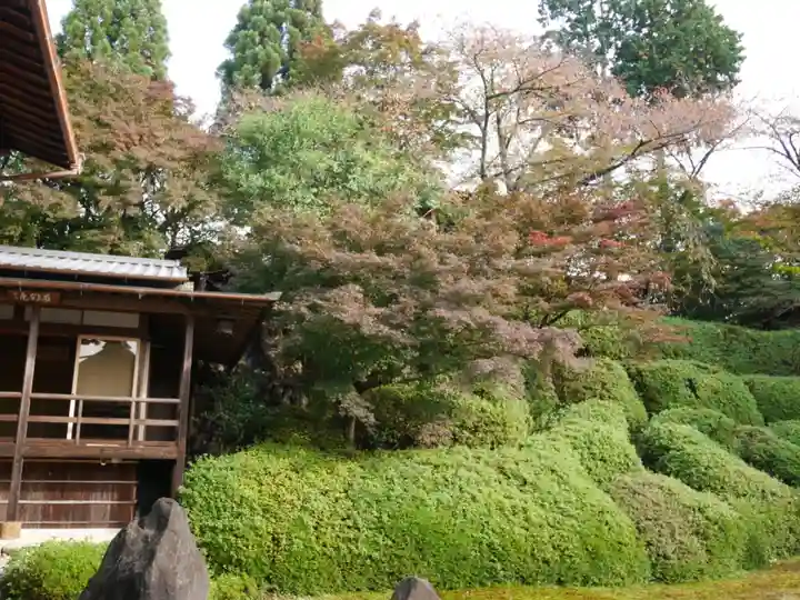 光明院(光明禅院)(京都府)