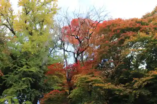 三春大神宮の庭園