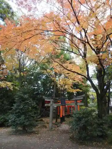 御霊神社（上御霊神社）の鳥居