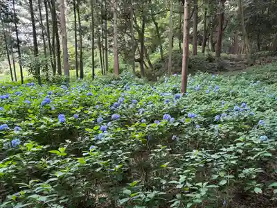 大宝八幡宮(茨城県)