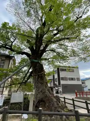 柏原大神宮(兵庫県)