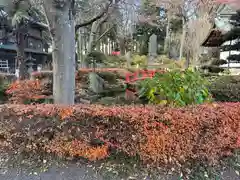 小室浅間神社(山梨県)