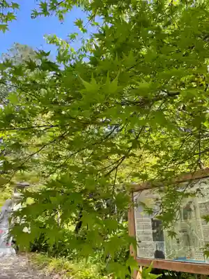 普門寺(切り絵御朱印発祥の寺)のその他建物