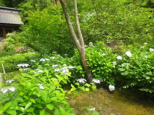 妙法寺の庭園