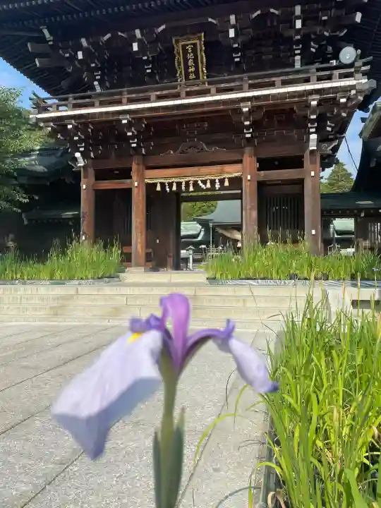 宮地嶽神社(福岡県)