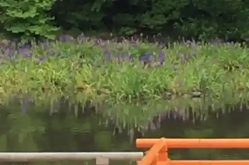 伊勢神宮外宮（豊受大神宮）の庭園