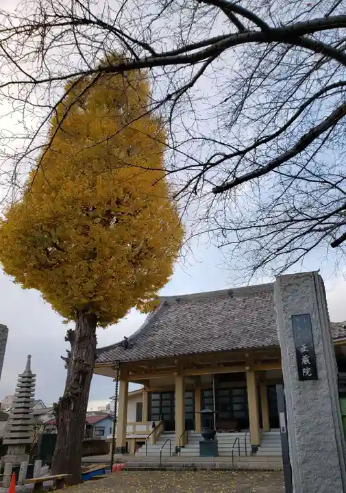 正蔵院の本殿・本堂