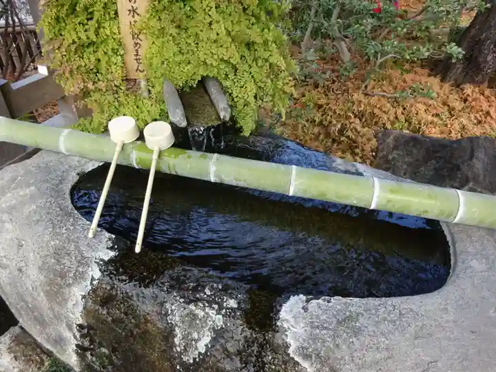 妙蓮寺の手水舎