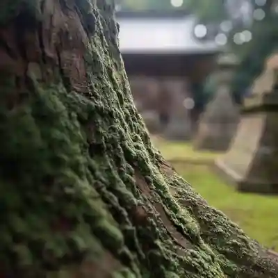 安波賀春日神社(福井県)
