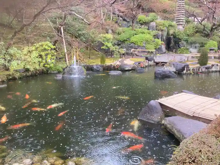 長谷寺(神奈川県)