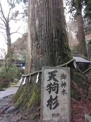 英彦山豊前坊高住神社(福岡県)