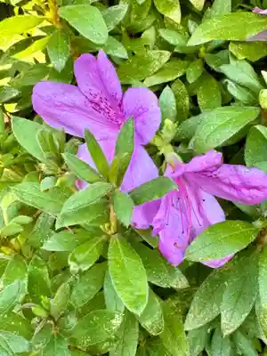 熊野大社(島根県)