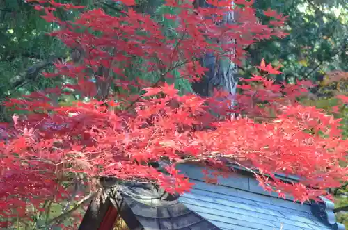 北口本宮冨士浅間神社(山梨県)